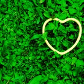 SNAP Heart In Clover SNAP Heart In Clover