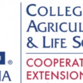 MarkApelArticlethumbnailExtension Logo 2012