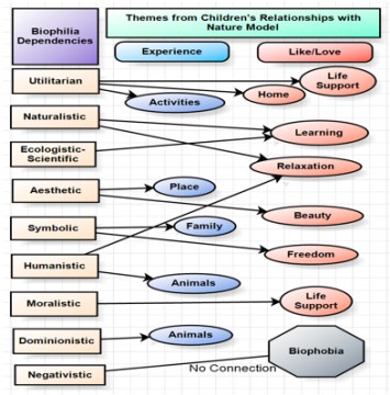 Figure 3. Biophilia dependencies and their connections to thematic result. 