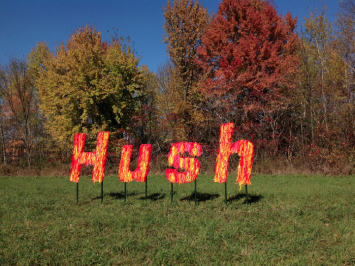 Hush (detail) -- Design team -- Allison Witte + Amy Greenwald